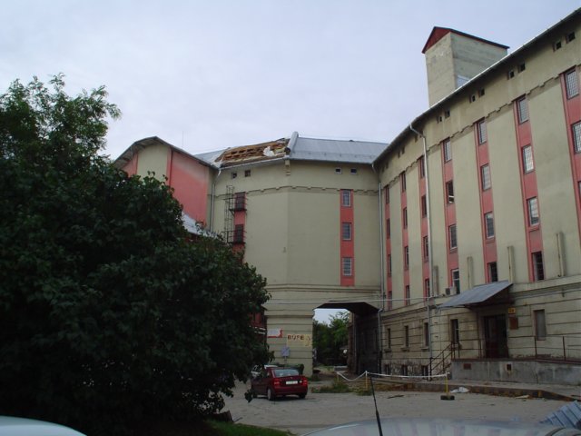 Photograph
