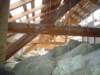 Photo Number 5