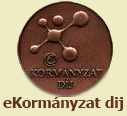 e Kormányzati díj